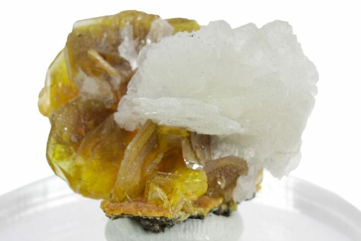 Glassy Yellow-Orange Wulfenite Crystals with Calcite - Mexico #347986